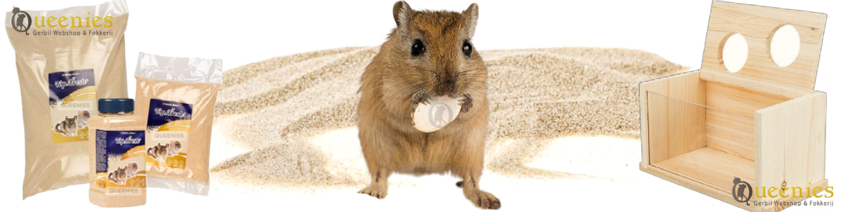 Hamsterzand voor een stralende vacht - Gerbil badzand