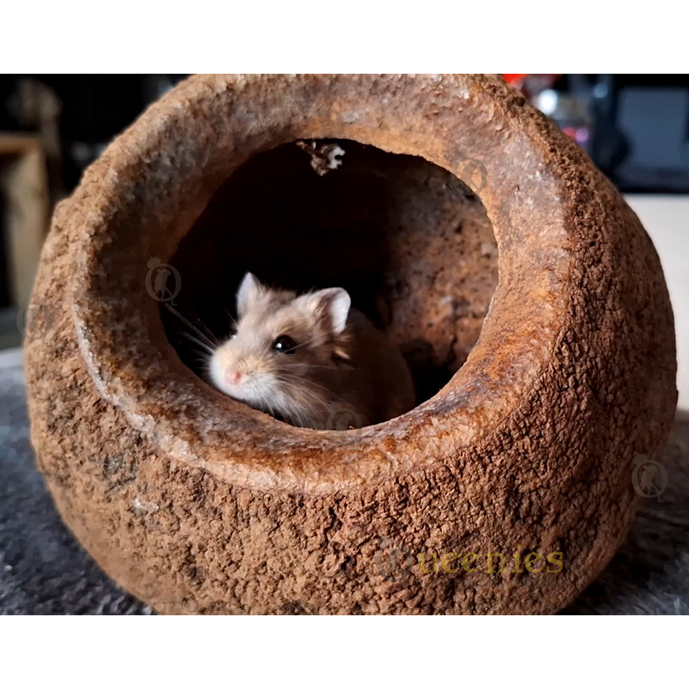 Hamster hut voor goud of dwerghamsters