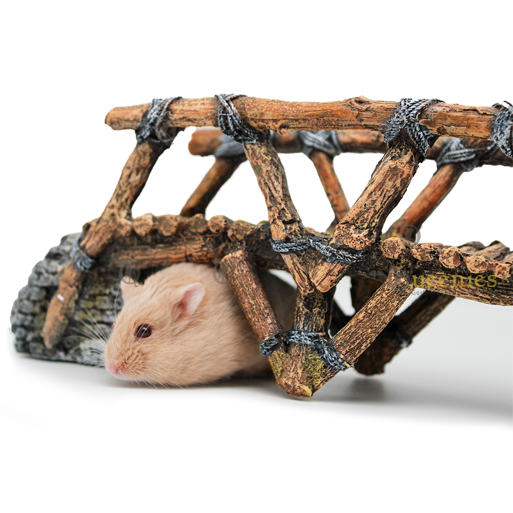Aanvullende producten voor een Hamsterkooi