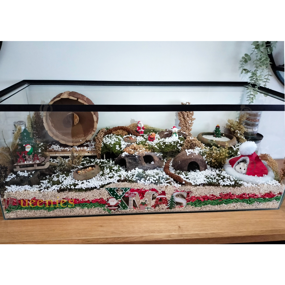 Informatie over Kerstscape