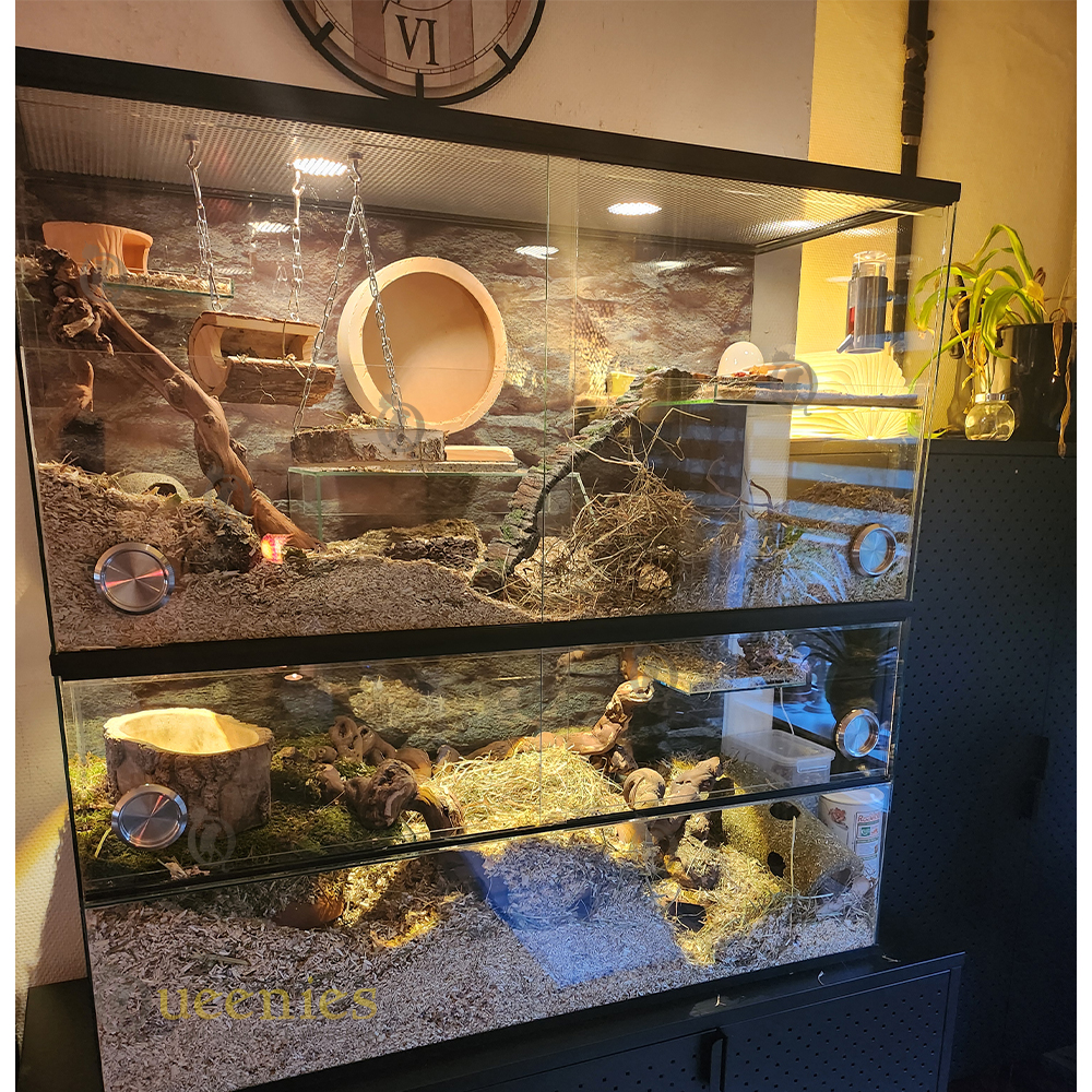Terrarium uitleg