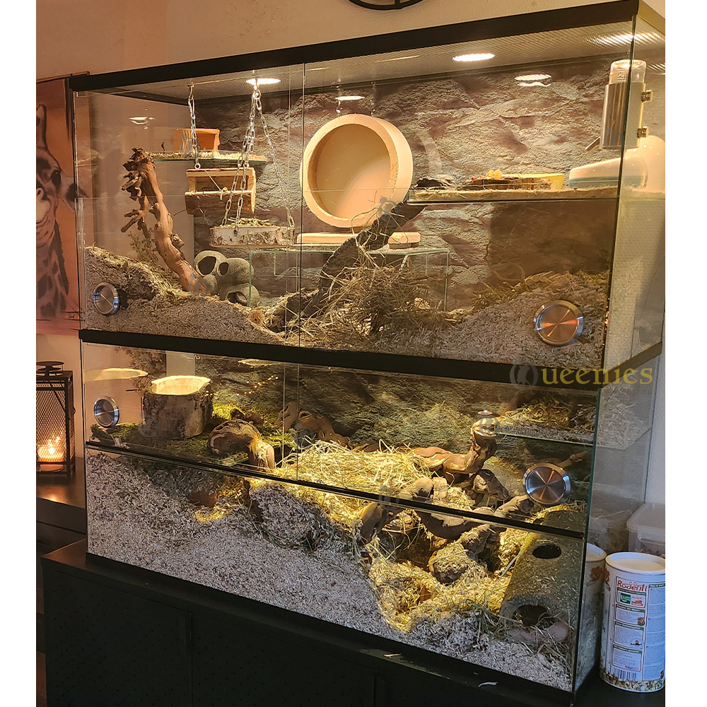 Kleiner terrarium