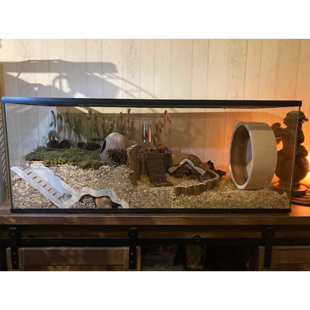 Ingericht Terrarium