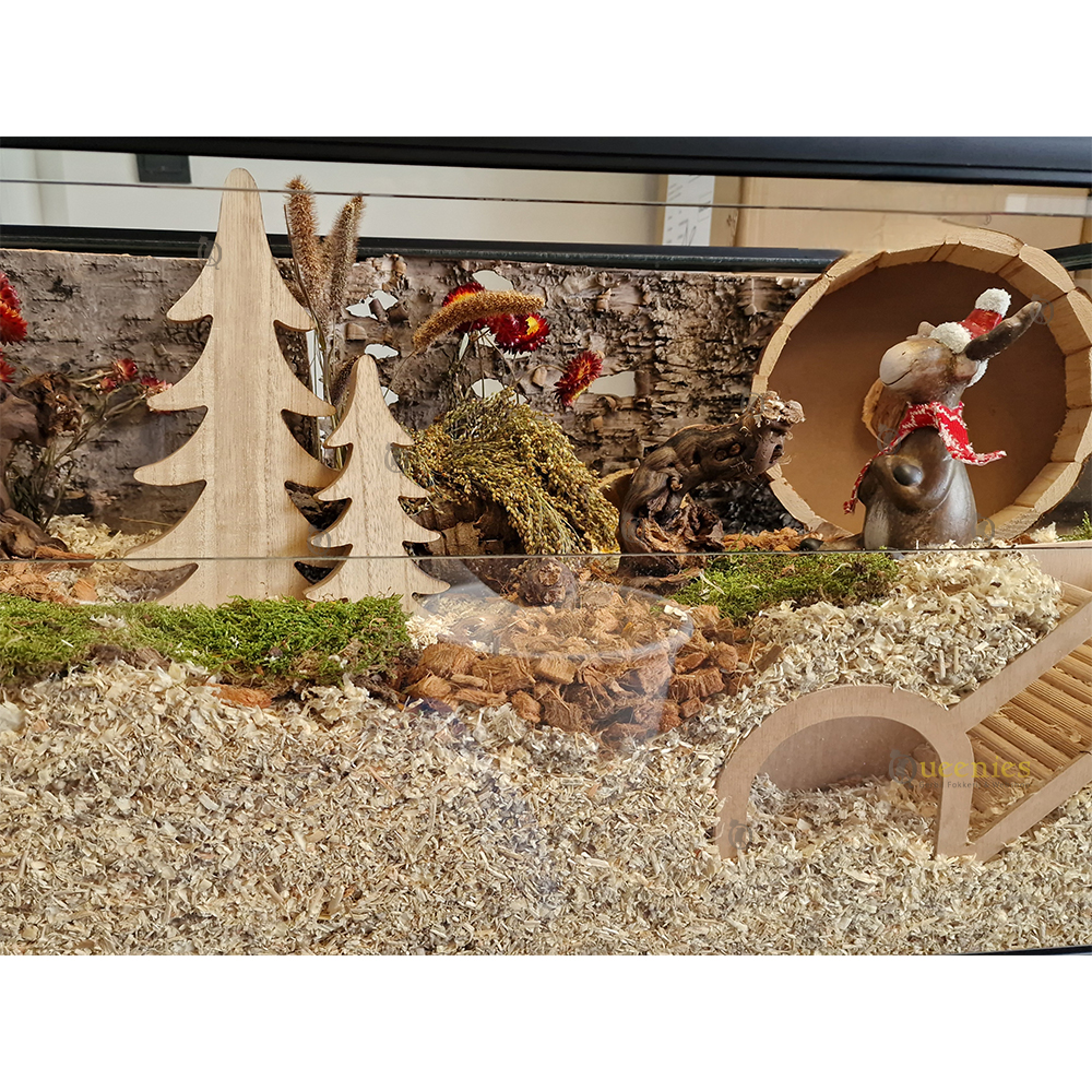 Hoe maak je een Hamsterscaping voor kerst?