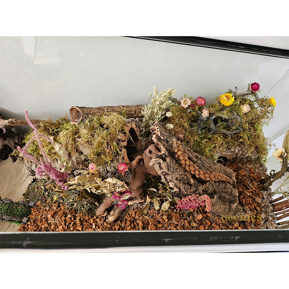 Terrarium voor Knaagdieren