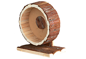 Loopwielen