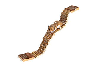 Tunnels & Ladders
