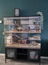 Degoe terrarium van glas met schuifruiten