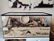 images/productimages/small/120x60x60.jpg