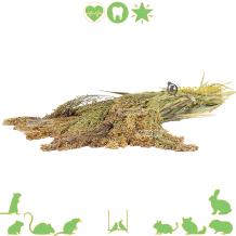 images/productimages/small/62000-parelgierst-qldieren.b756.jpg
