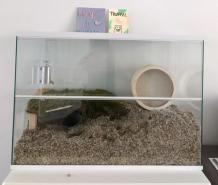 hamster terrarium met witte profielen