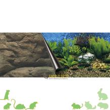 Achterwand Zee & Stenen voor Knaagdieren
