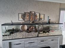 images/productimages/small/anneke-120x50x50-110x50x50.jpg
