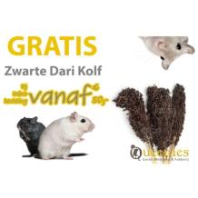 Gratis proefverpakking zwarte dari kolf voor Knaagdieren en vogels