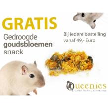 images/productimages/small/categorie-gratis-artikelen-4goudsbloem.jpg
