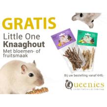 images/productimages/small/categorie-gratis-artikelen-5knaaghout.jpg
