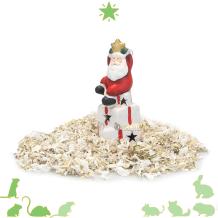 Kerstman met Cadeaus