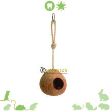 Hangende Kokosnoot met ijzeren ketting