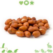 Gepelde Aardnootjes - lekkere Knaagdieren snack