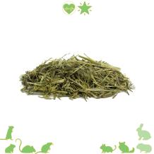 Knabbelhaver 115 gram haverplant voor knaagdier