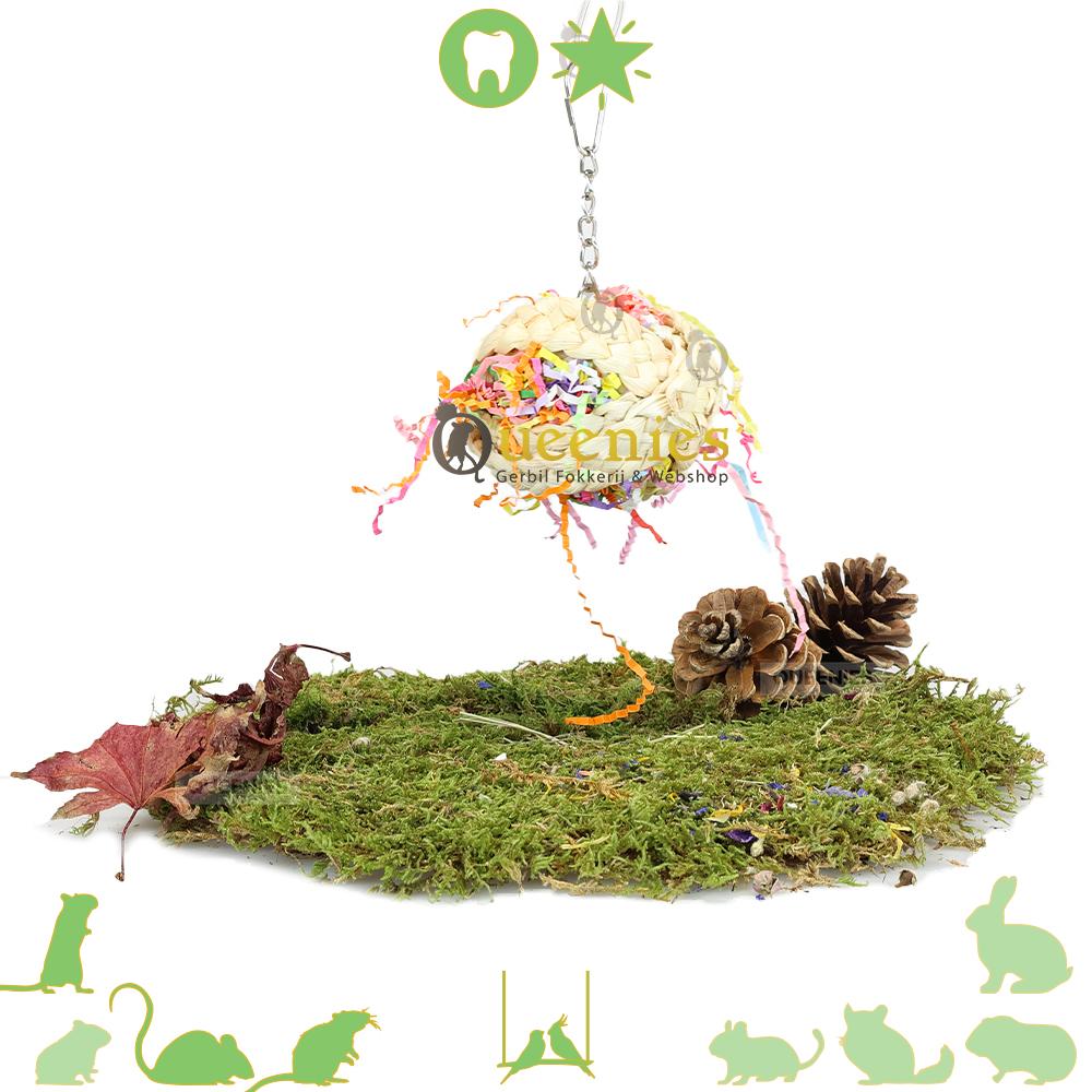 Hangspeelgoed voor Muizen en Gerbils