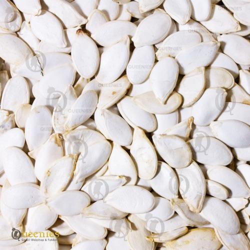 Favoriete Knaagdieren snack pompoenpitten
