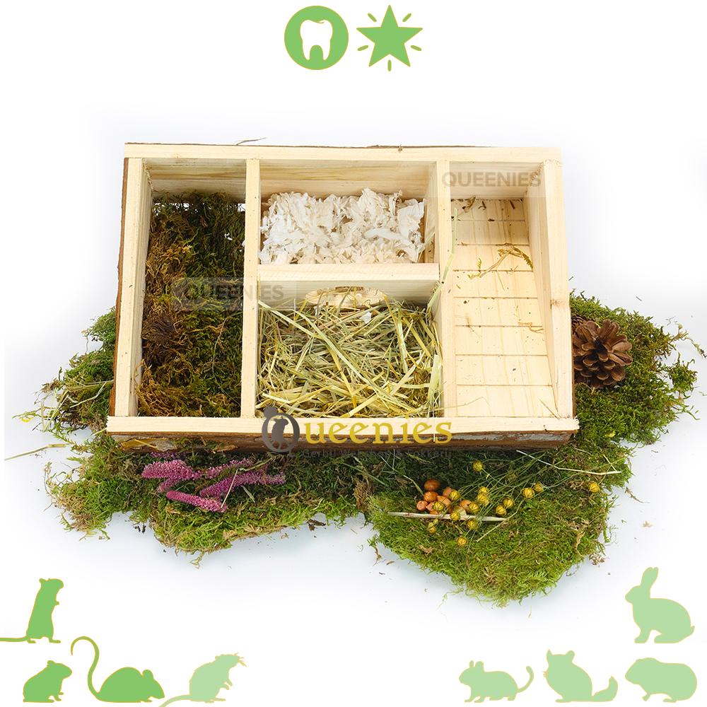 Labyrinthuis voor hamsters