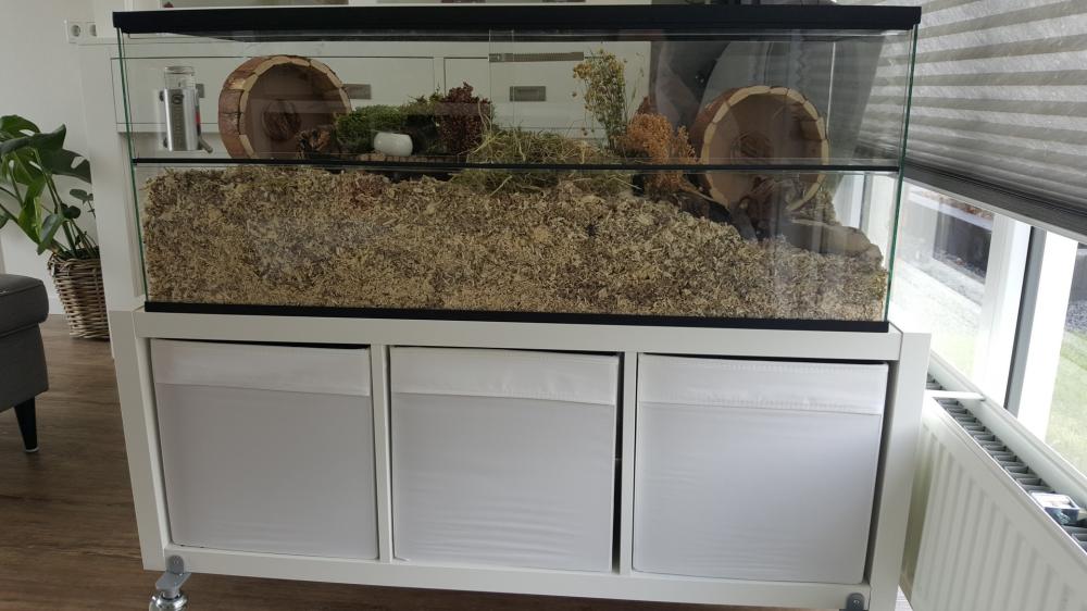 Gerbil / hamster Terrarium 40 hoog varianten