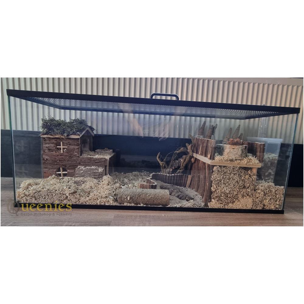 Hamsterscaping in 100x40x40 hamsterkooi zonder schuifruit, zonder plateaus