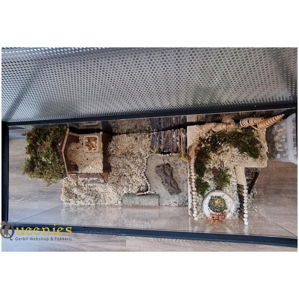 Hamsterscape in 100x40x40 hamsterkooi zonder schuifruit, zonder plateaus
