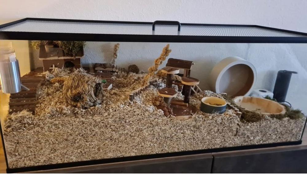 100x40x40 Gerbilkooi van glas zonder schuifruiten