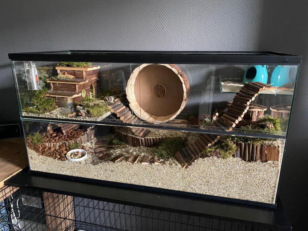 Terrarium Mos voor knaagdieren 200 gram