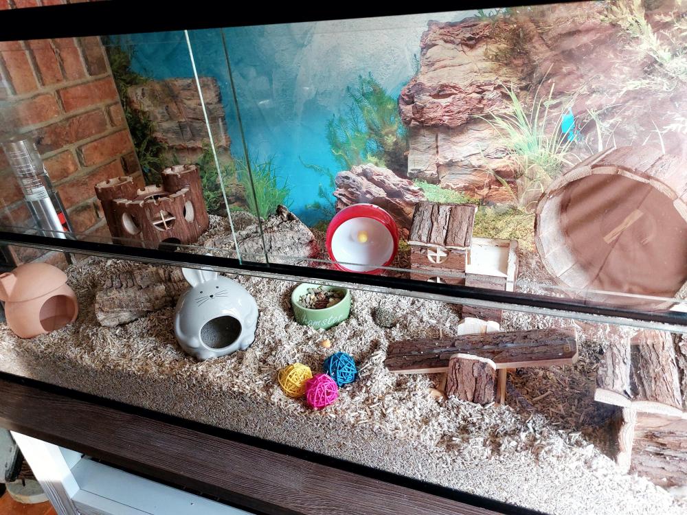 Hamsterkooi zonder tralies met schuifruiten zonder plateaus