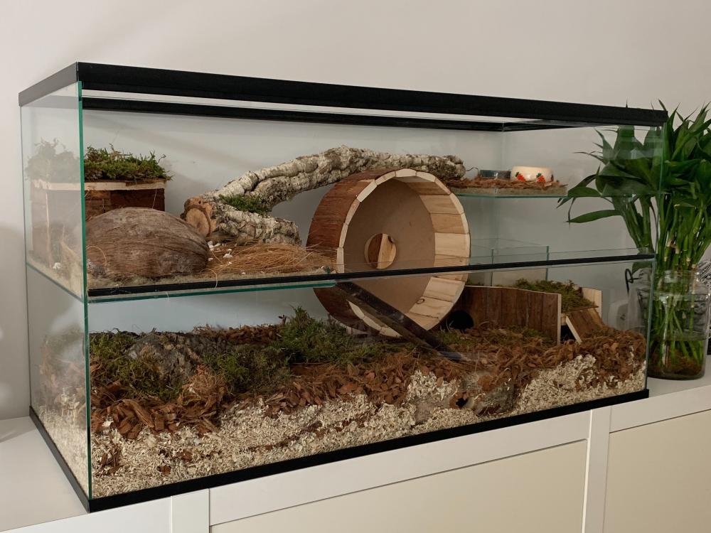 Gerbilarium 100x40x50