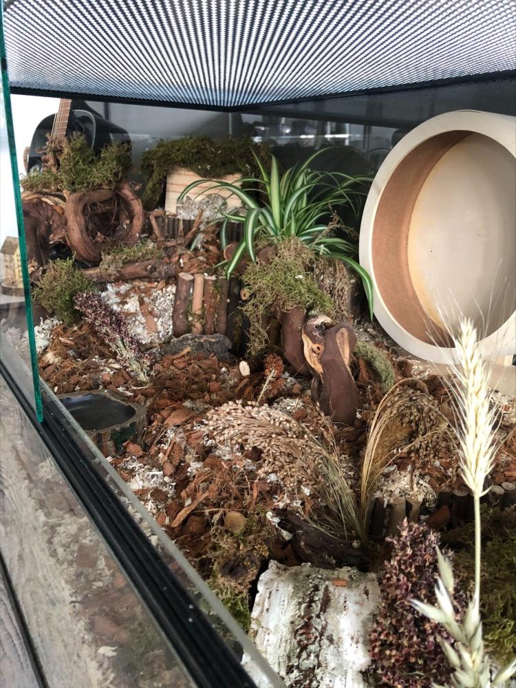 120x60x60 Hamster Terrarium met schuifruiten zonder plateaus