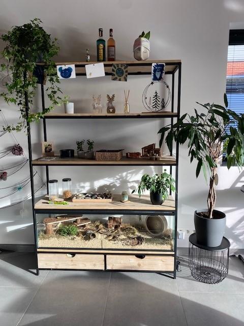 Gebruikte 115x45x50 premium model Hamster terrarium