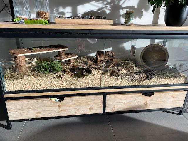 Gebruikte 115x45x50 premium model Hamster terrarium