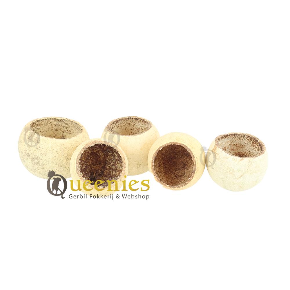 Cup 5-7 cm
