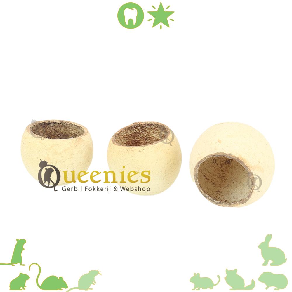Cup 5-7 cm