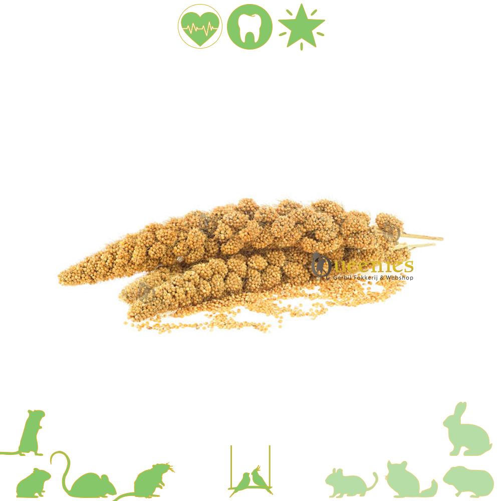 Trosgierst voor hamsters en vogels 150 gram