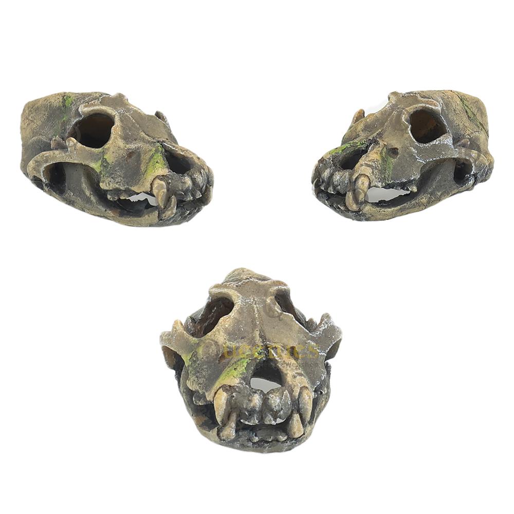 Mini Skulls Aap