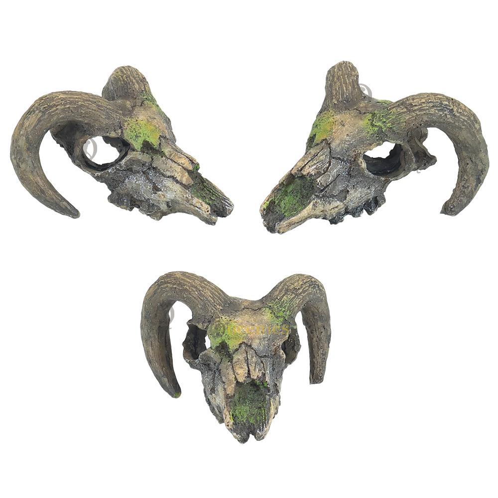 Mini Skulls Bok