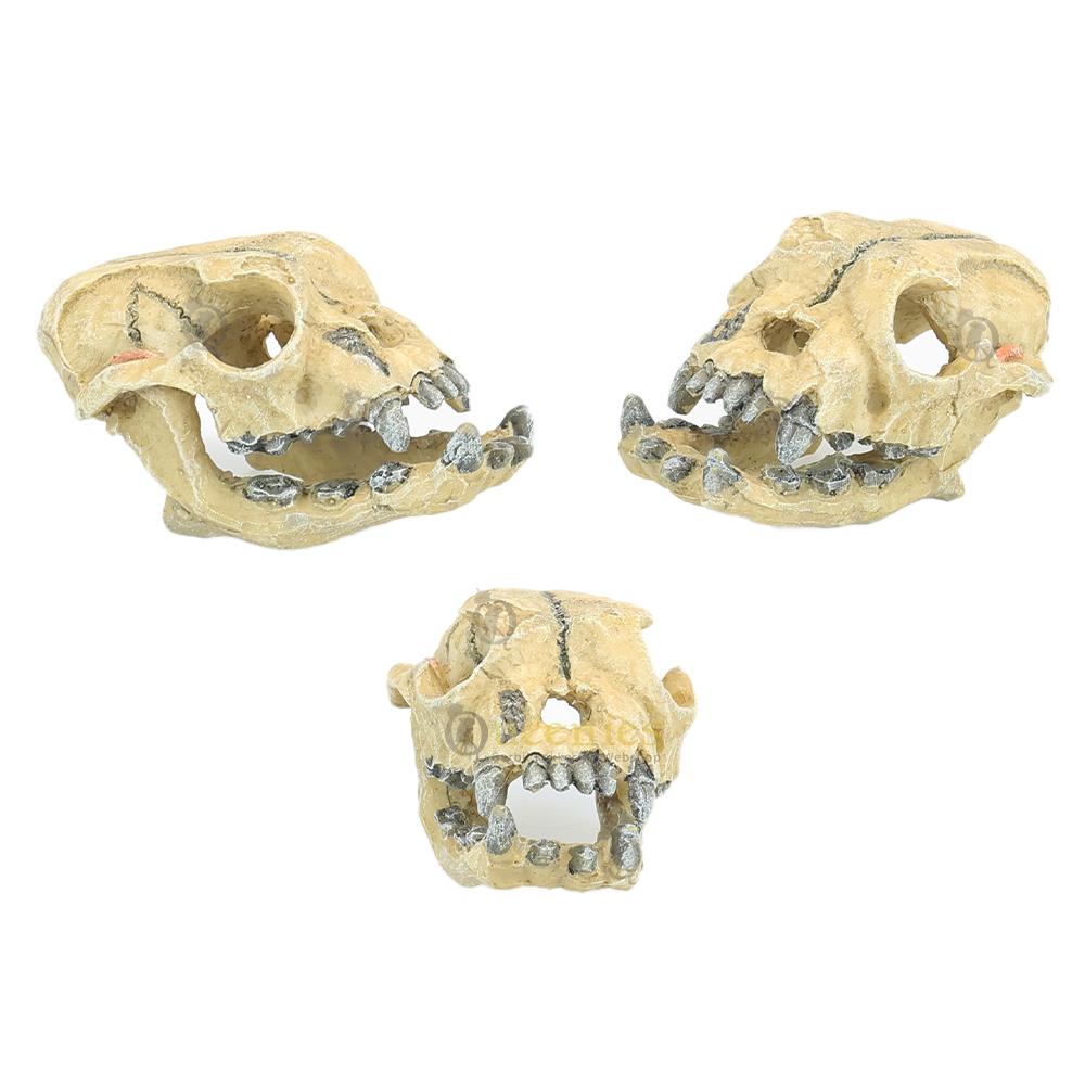 Mini Skulls Kat