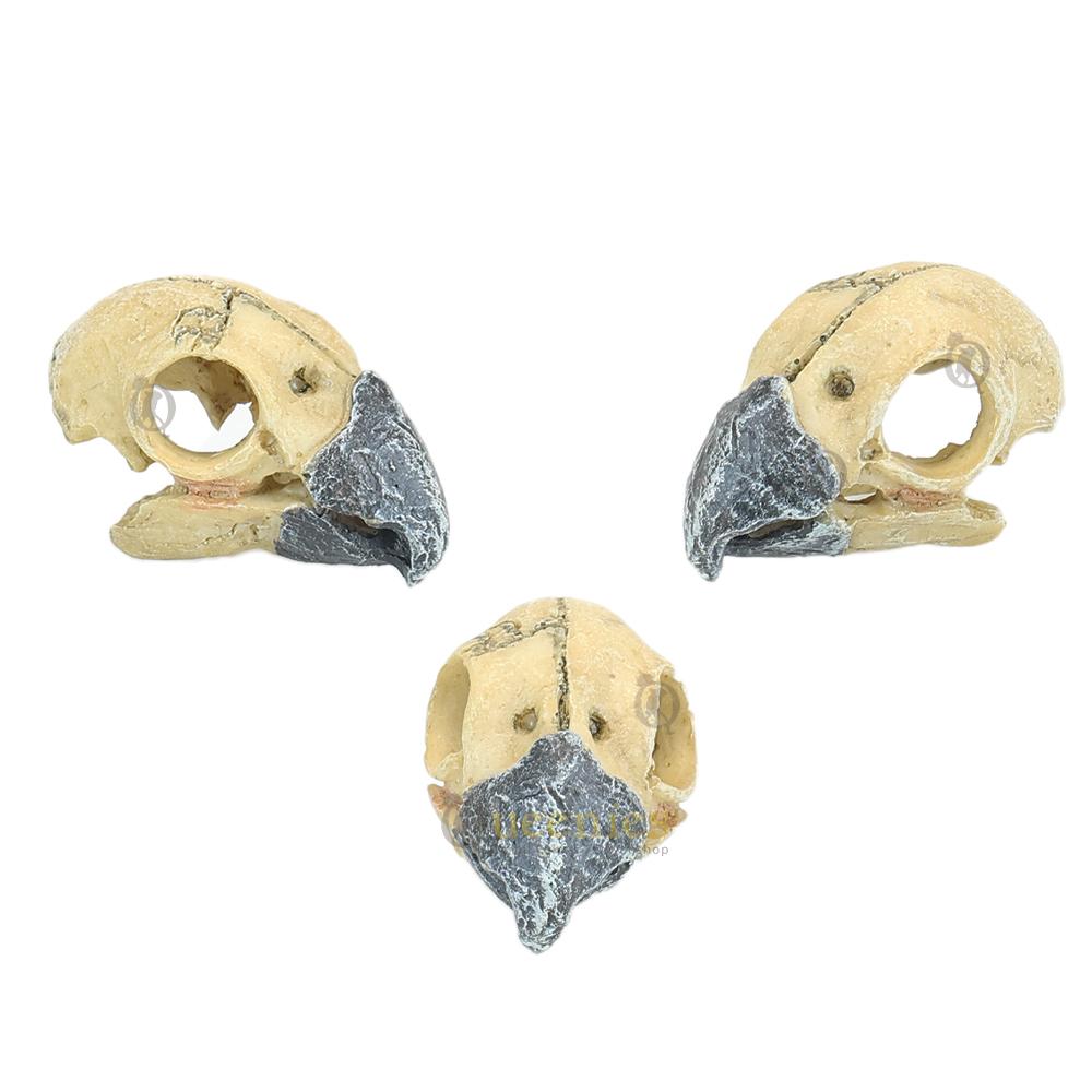 Mini Skulls Vogel