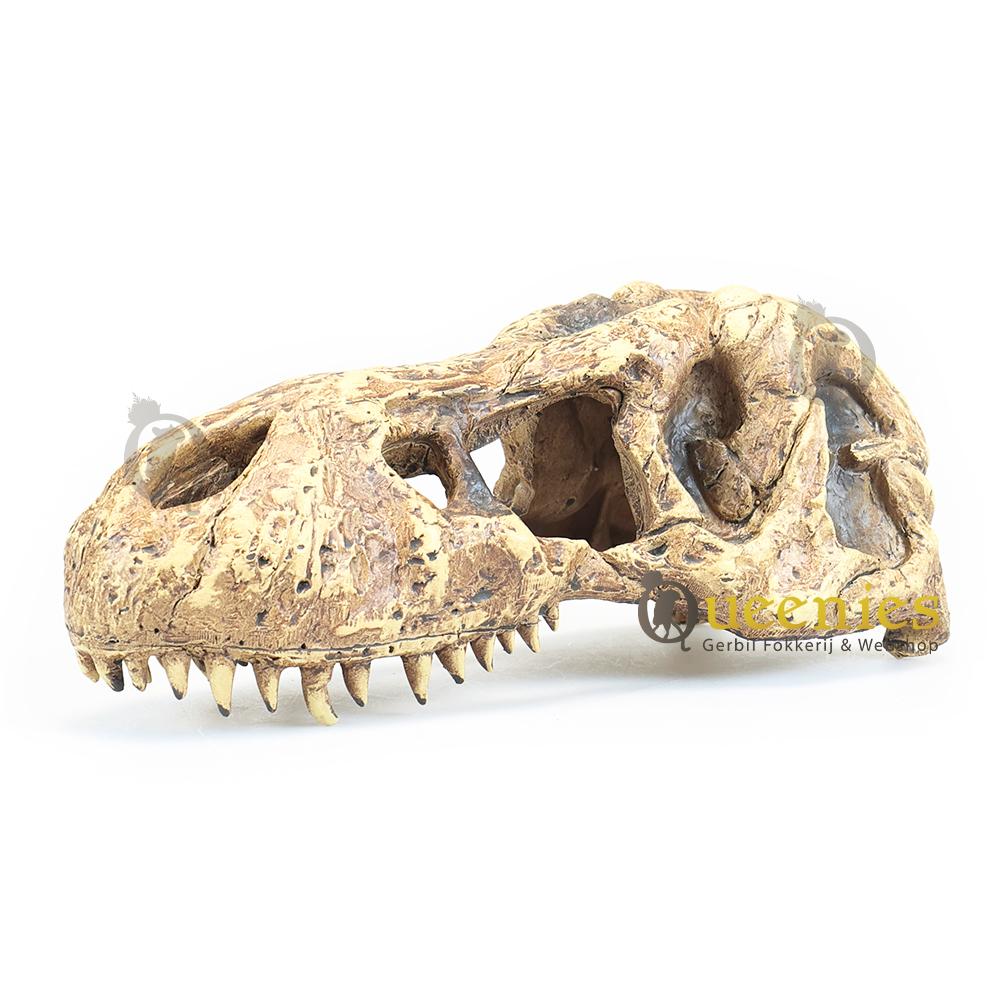 Exo Terra T-Rex Schedel voor Reptielen