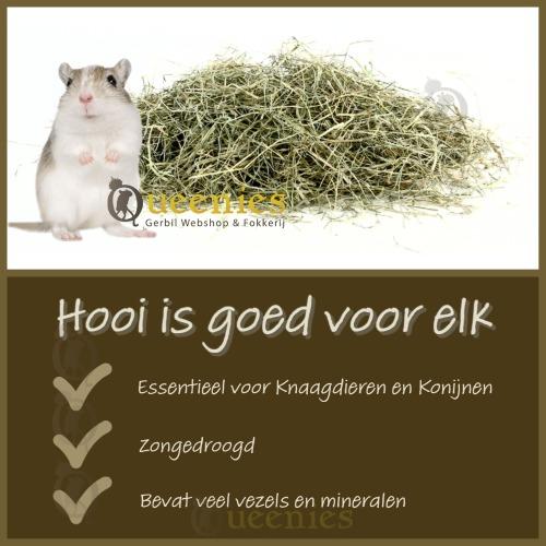 Weidehooi is goed voor elk Knaagdier en Konijn