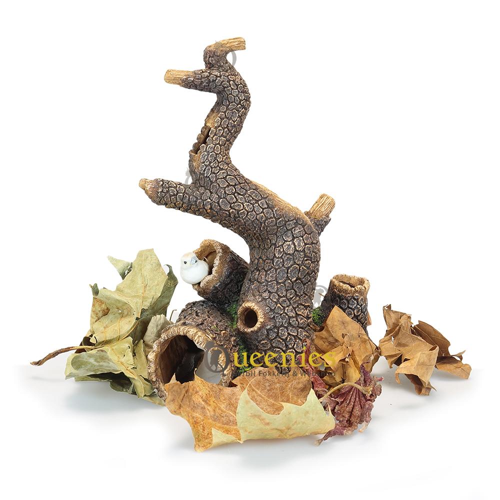 Outlet klimboom Herfstscape met gedroogde bladeren