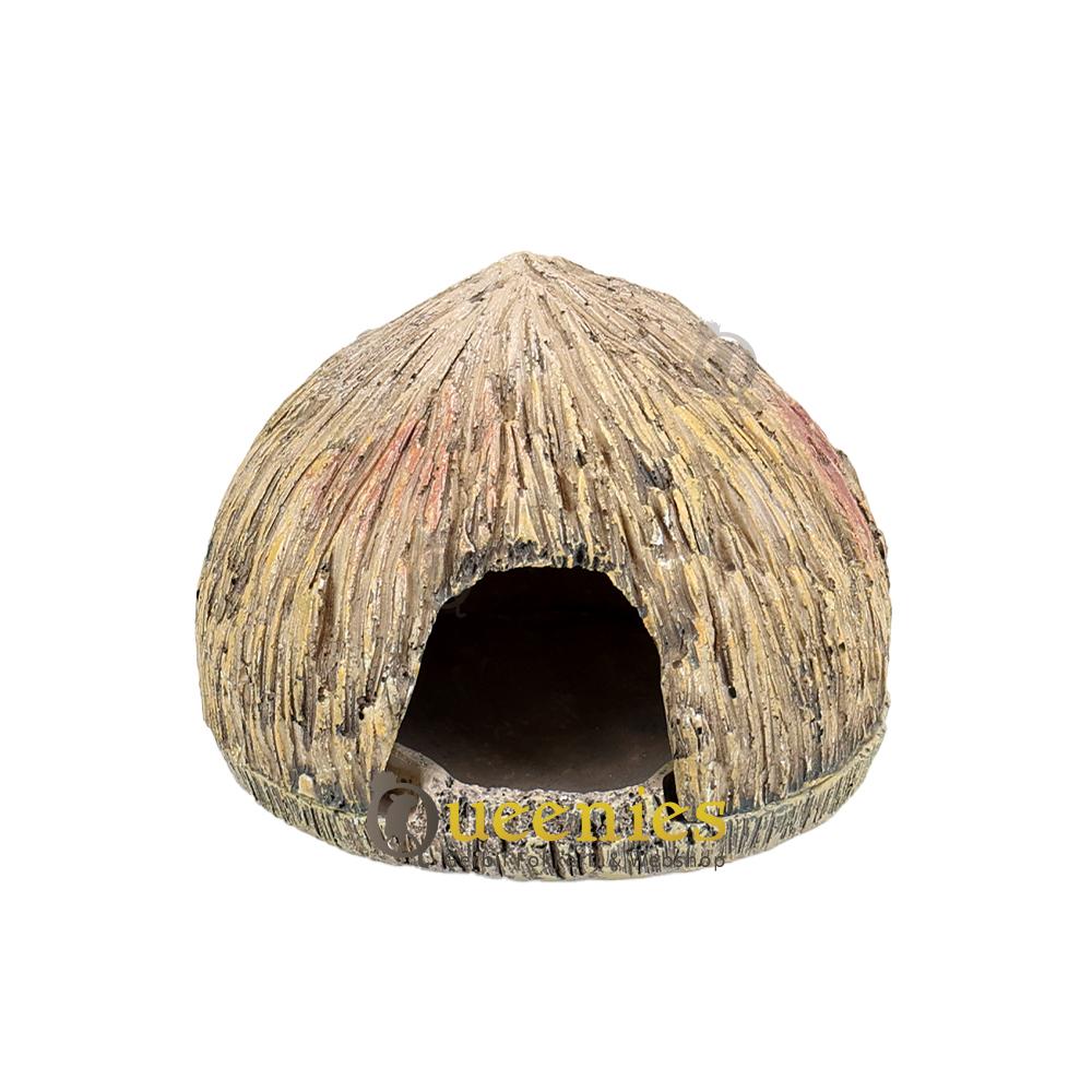 Exo Terra cocos cave frog