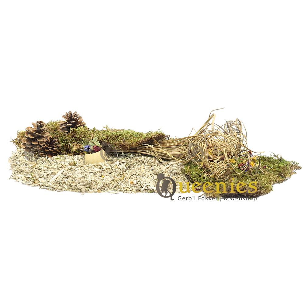 Krul Stengels 50 stuks