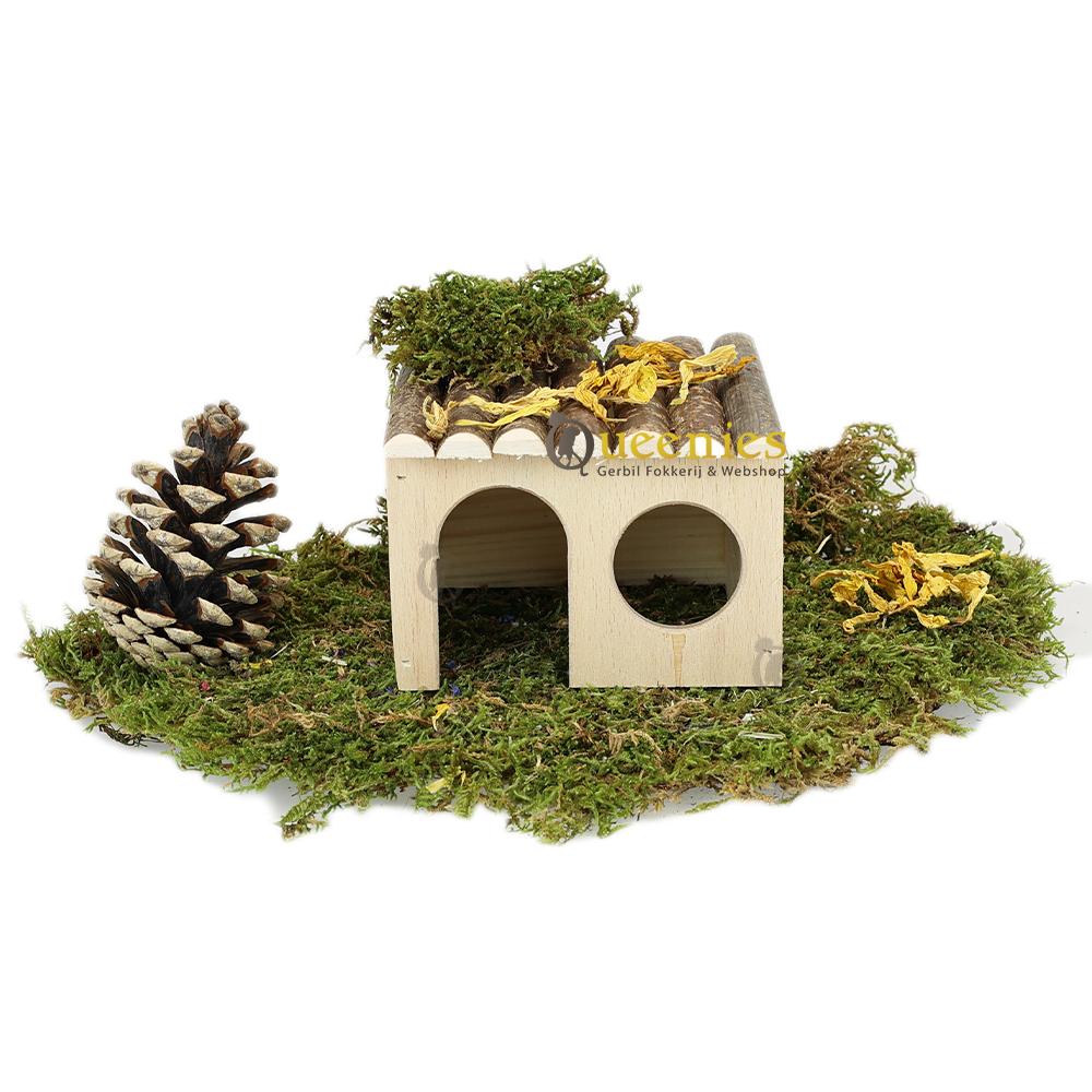 Hazelnoot huis vierkant 12 cm